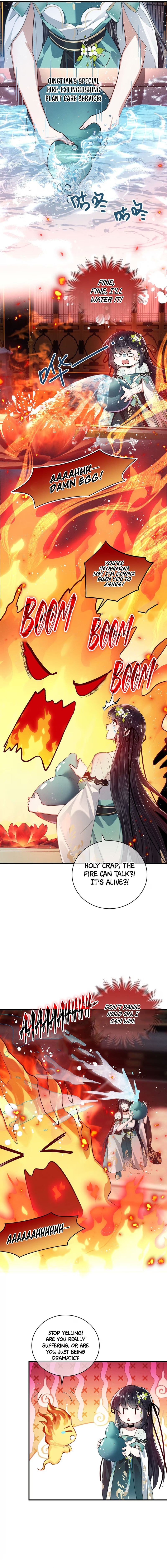 Chapter Image