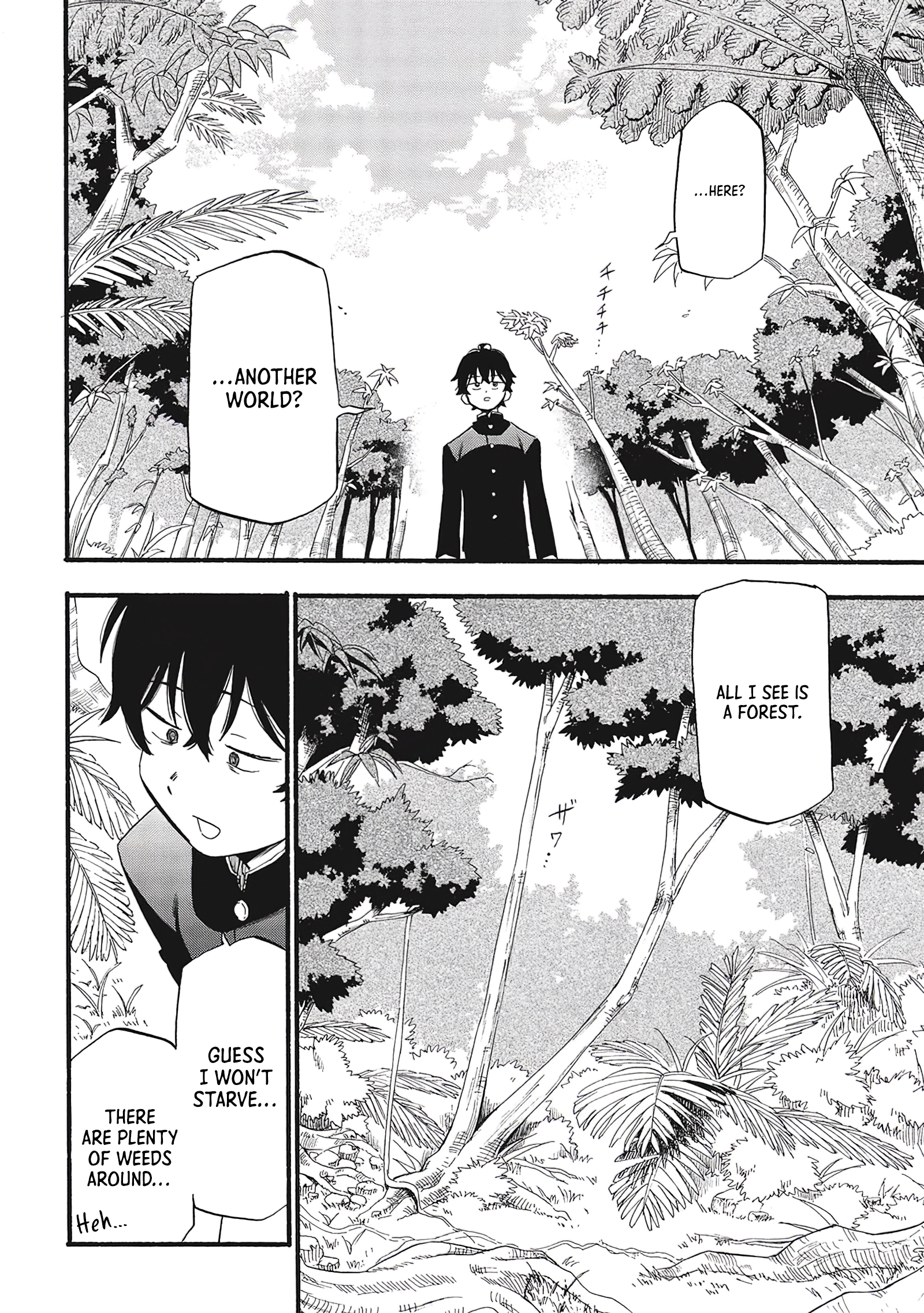 Chapter Image