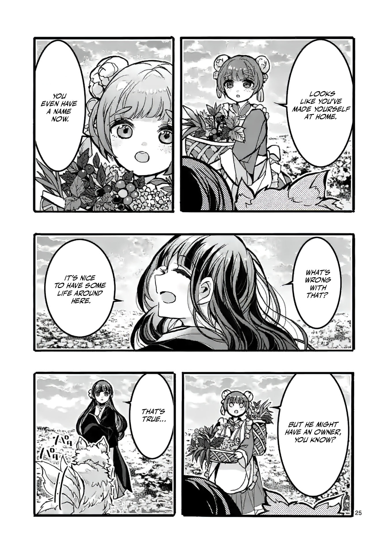 Chapter Image