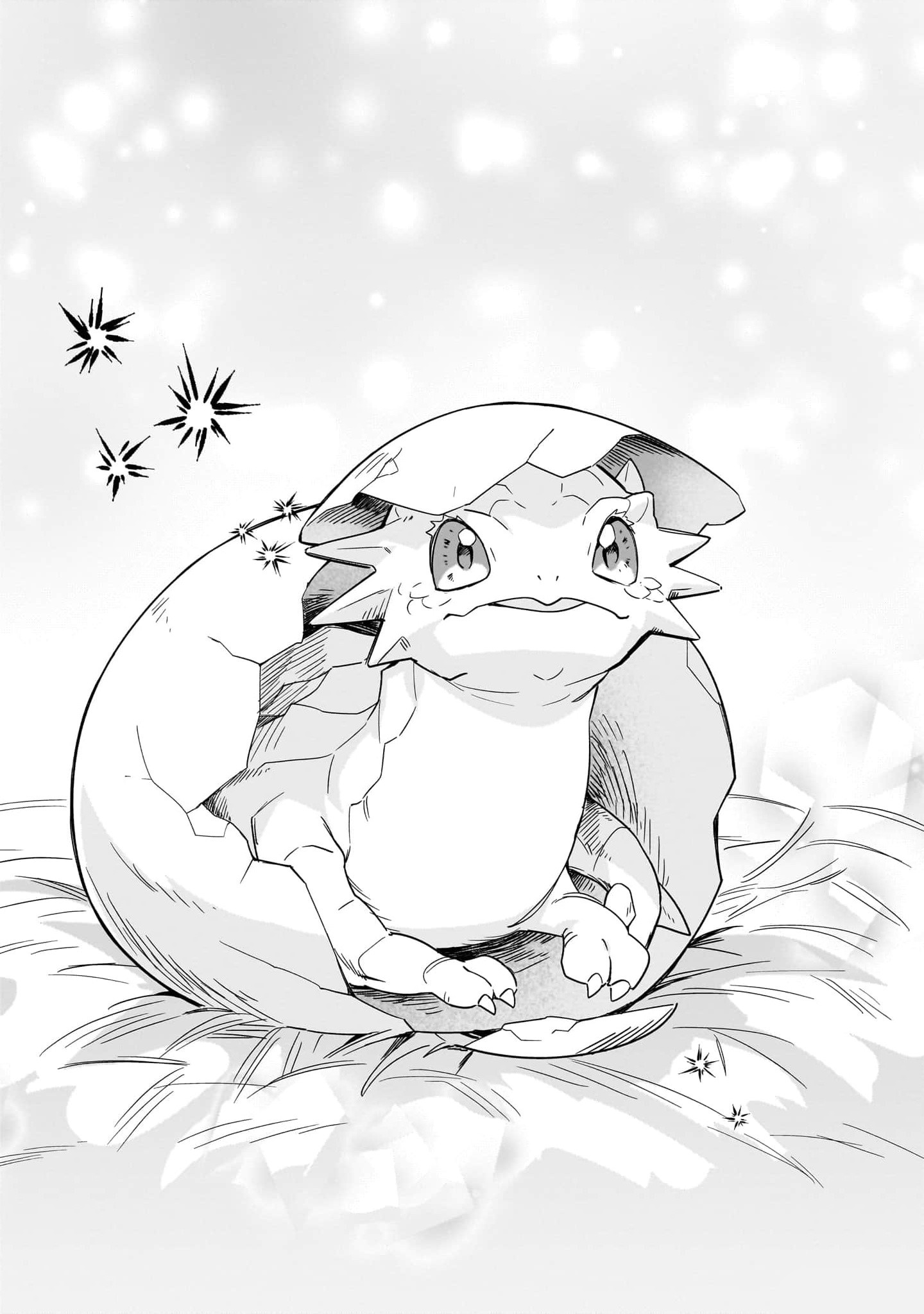 Chapter Image