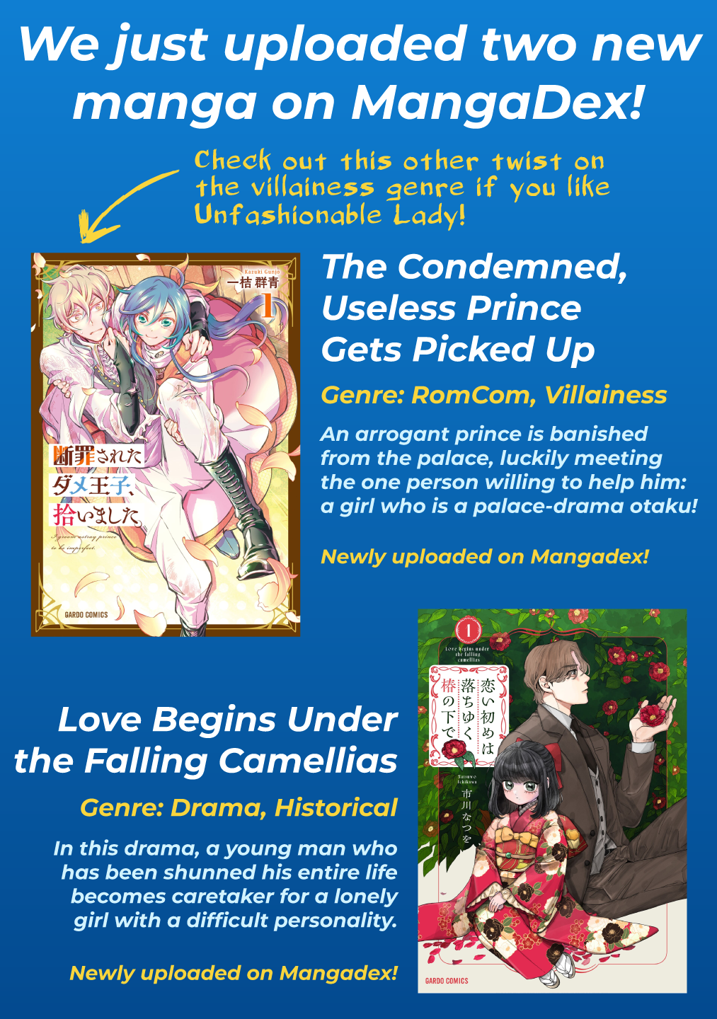 Chapter Image