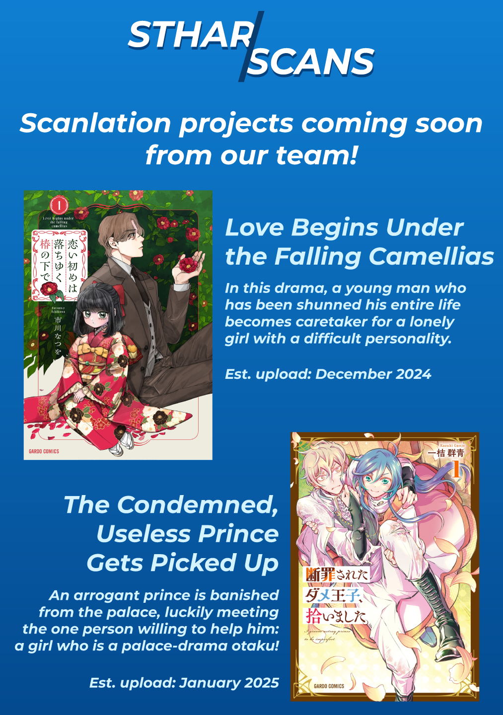Chapter Image